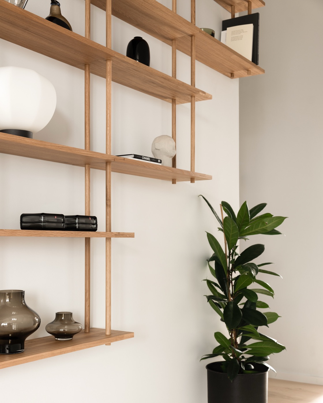Bond shelves stepping across a wall, with a plant