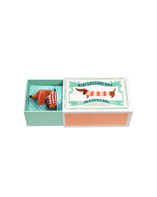 Mini Sausage Dog In A Little Box