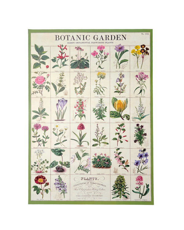 Vintage Botanic Garden Poster