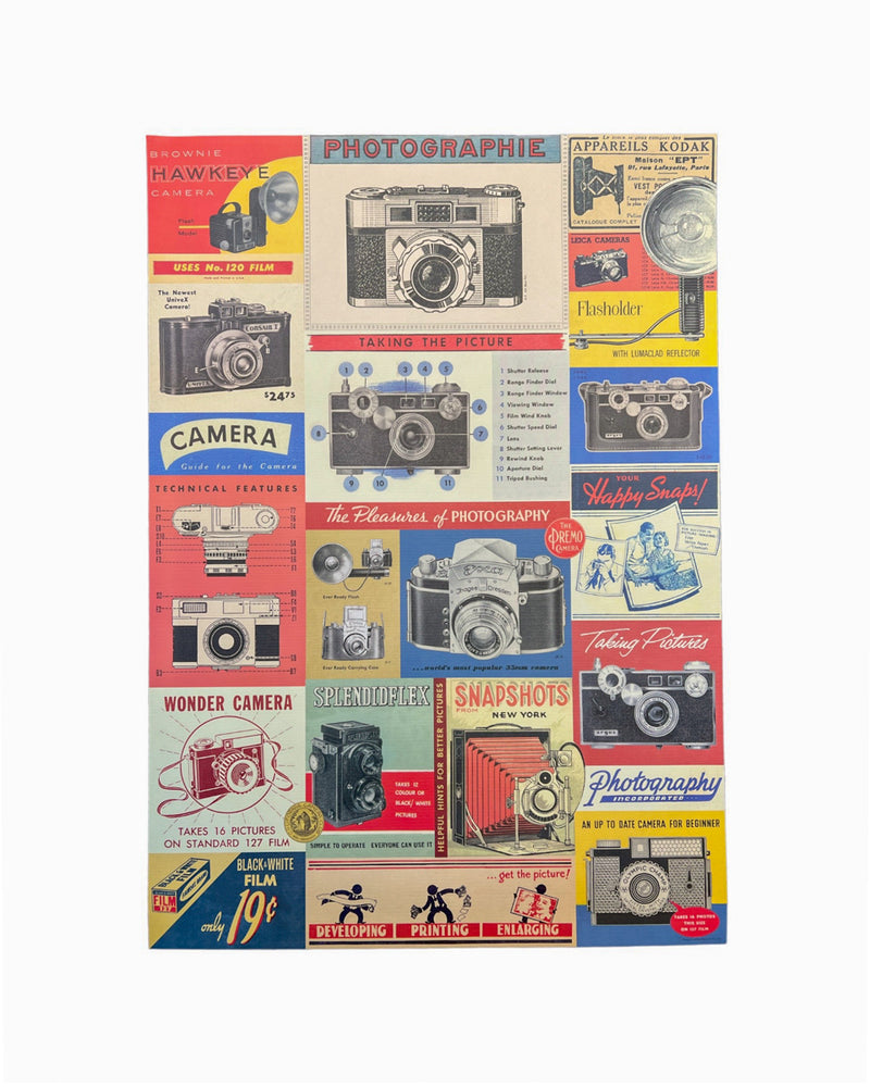 Vintage Camera Poster