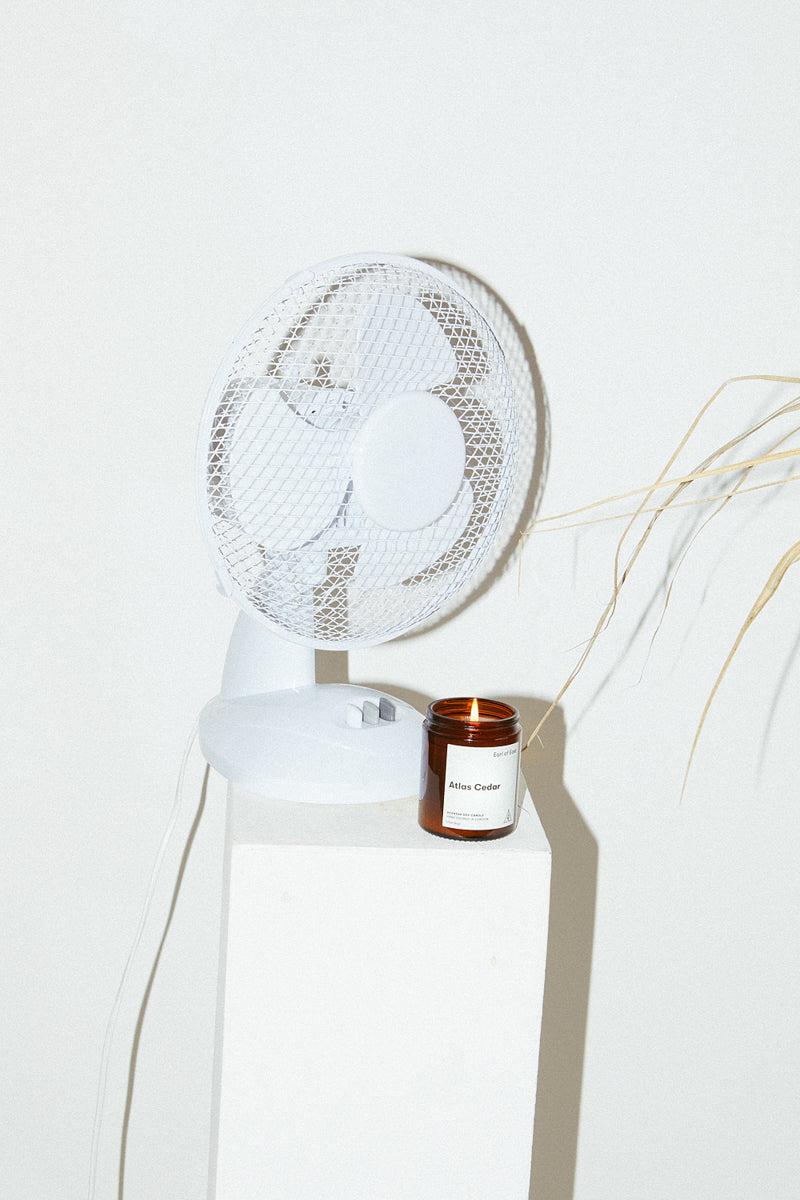 Earl of East - Atlas Cedar