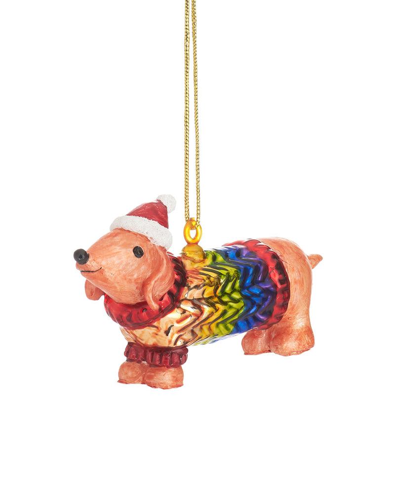 Sausage Dog in a Rainbow Jumper