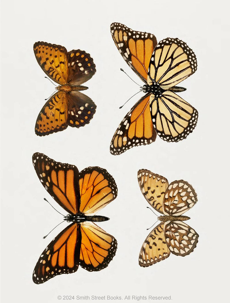 Cut-out-Curiosities Botanica