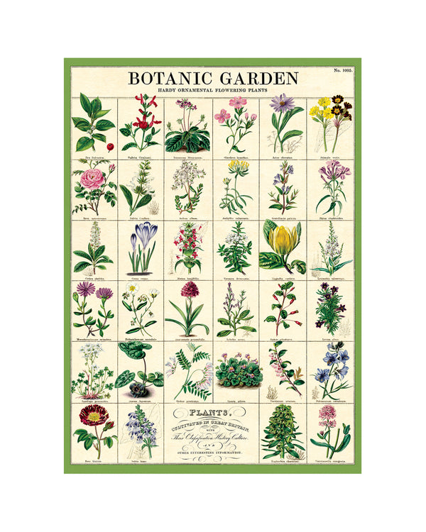 Vintage Botanic Garden Poster