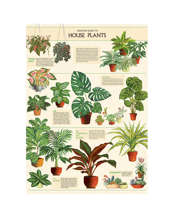 Vintage House Plants Poster