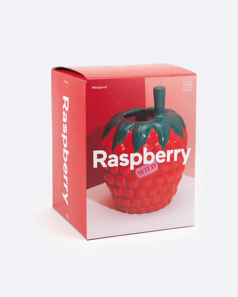 Raspberry Vase