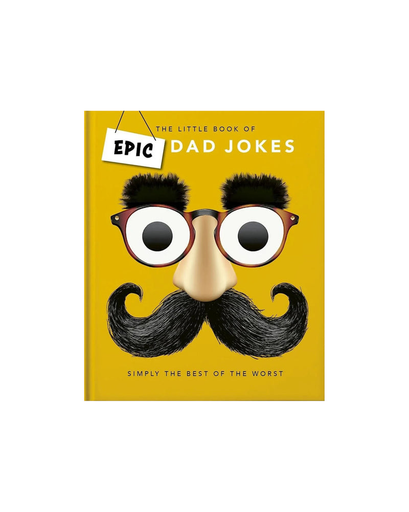 Little Book of Epic Dad Jokes