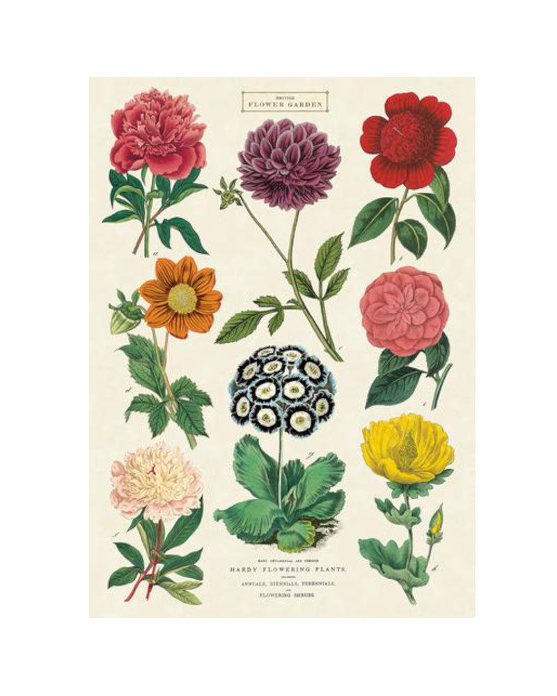 Vintage Botanica 2 Poster