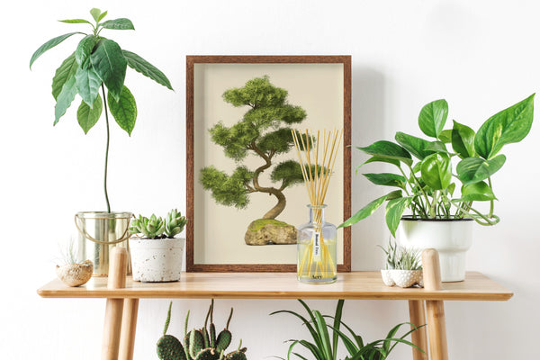 Bonsai Tree Reed Diffuser